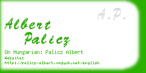 albert palicz business card